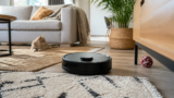 Roborock Qrevo Curv 2 Pro avec chien, chat et tapis : est-il vraiment adapté ?